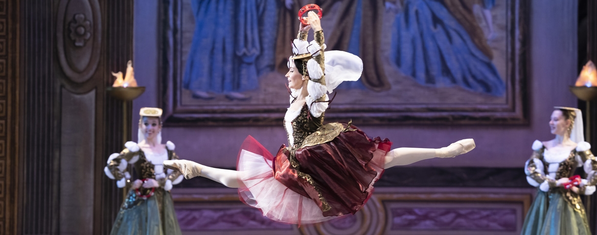 Балет «Лебединое озеро»
