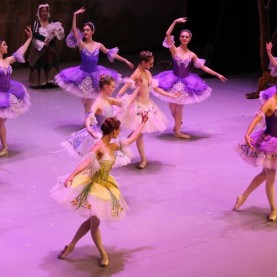 «Спящая красавица» с артистами балета театров Санкт-Петербурга.