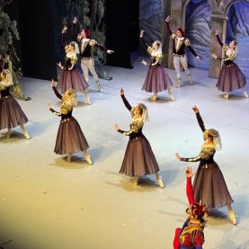 «Лебединое озеро».