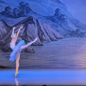 «Лебединое озеро».