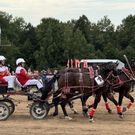 Фестиваль #ORLOVFEST на ипподроме «Таруса».