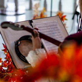 Музыкально-игровая программа для детей «Осенние забавы»